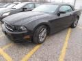 Black - Mustang V6 Convertible Photo No. 2