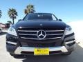 Obsidian Black Metallic - ML 250 BlueTEC 4Matic Photo No. 2