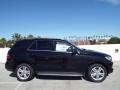 Obsidian Black Metallic - ML 250 BlueTEC 4Matic Photo No. 3