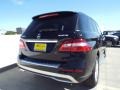Obsidian Black Metallic - ML 250 BlueTEC 4Matic Photo No. 4