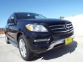 Obsidian Black Metallic - ML 250 BlueTEC 4Matic Photo No. 11