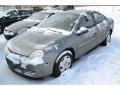 Mineral Gray Metallic - Neon SE Photo No. 4