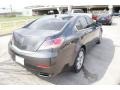 Graphite Luster Metallic - TL  Photo No. 8