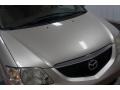 Shimmering Sand Metallic - MPV LX Photo No. 35