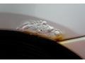 Shimmering Sand Metallic - MPV LX Photo No. 52