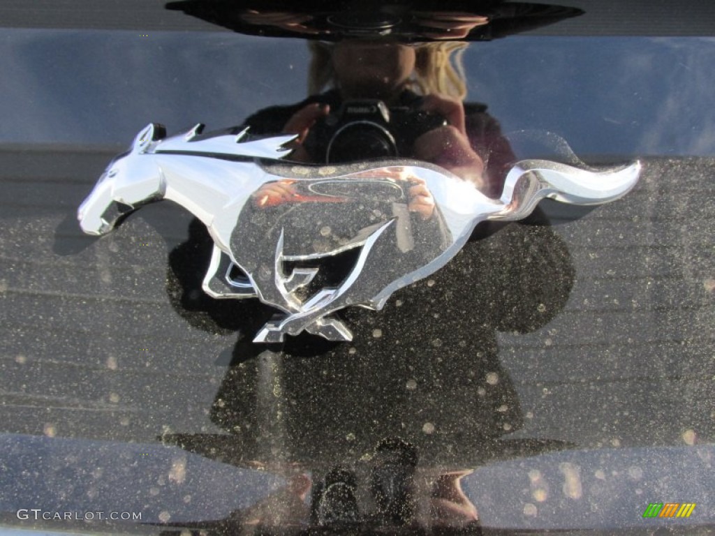 2015 Mustang EcoBoost Premium Coupe - Ingot Silver Metallic / Ebony photo #13