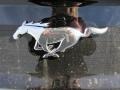 2015 Ingot Silver Metallic Ford Mustang EcoBoost Premium Coupe  photo #13