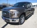 2015 Caribou Metallic Ford F150 XLT SuperCrew  photo #7