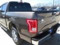 Caribou Metallic - F150 XLT SuperCrew Photo No. 11