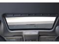 Platinum Gray Metallic - Passat TDI SEL Photo No. 12