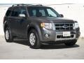 2011 Sterling Grey Metallic Ford Escape Limited V6  photo #1