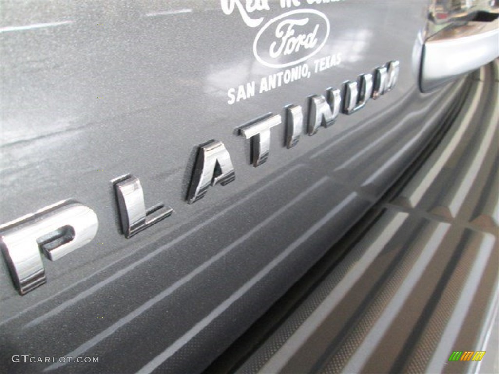 2015 Expedition EL Platinum - Magnetic Metallic / Ebony photo #8