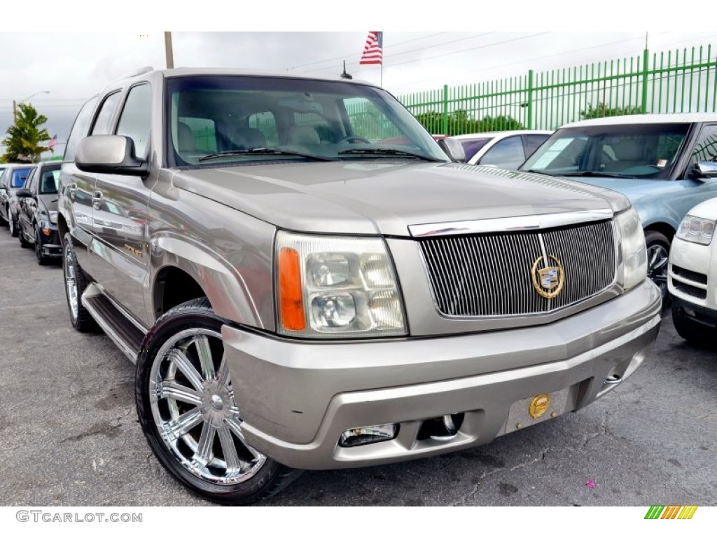 2002 Escalade AWD - Silver Sand / Shale photo #1
