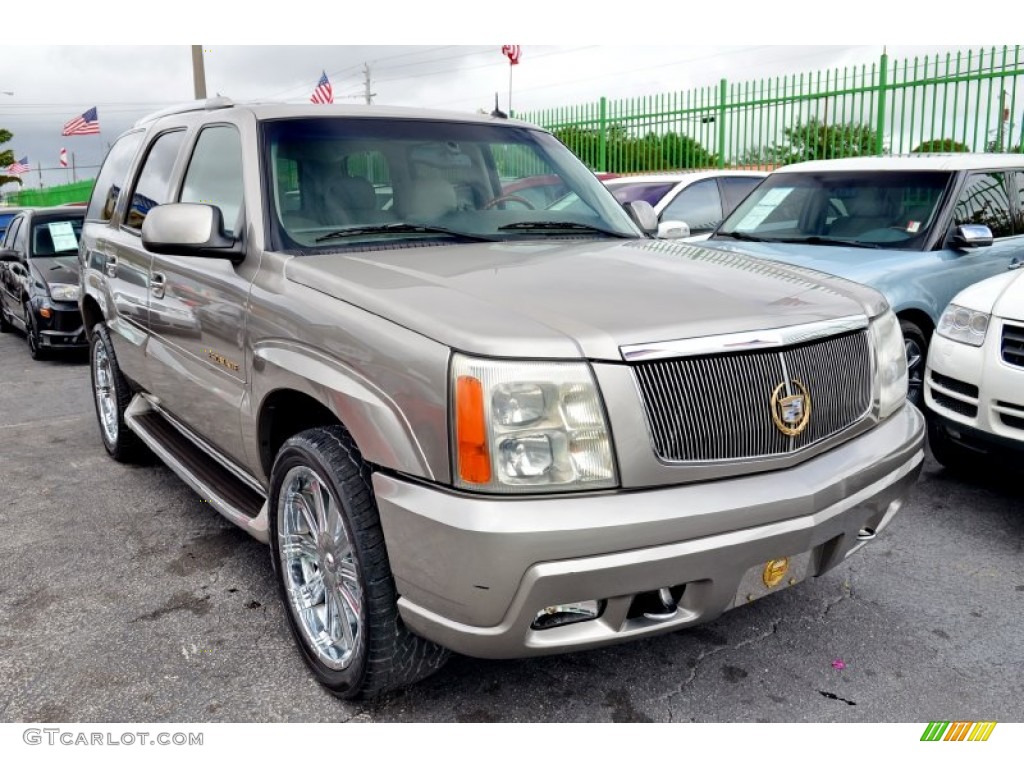 2002 Escalade AWD - Silver Sand / Shale photo #3