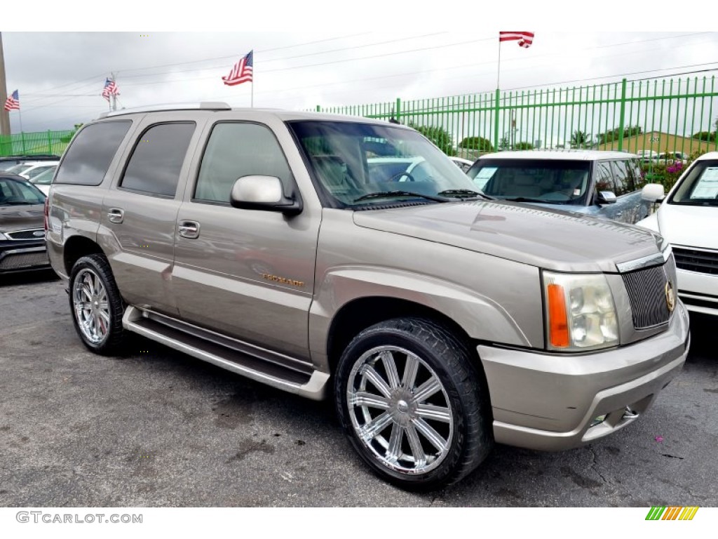 2002 Escalade AWD - Silver Sand / Shale photo #4