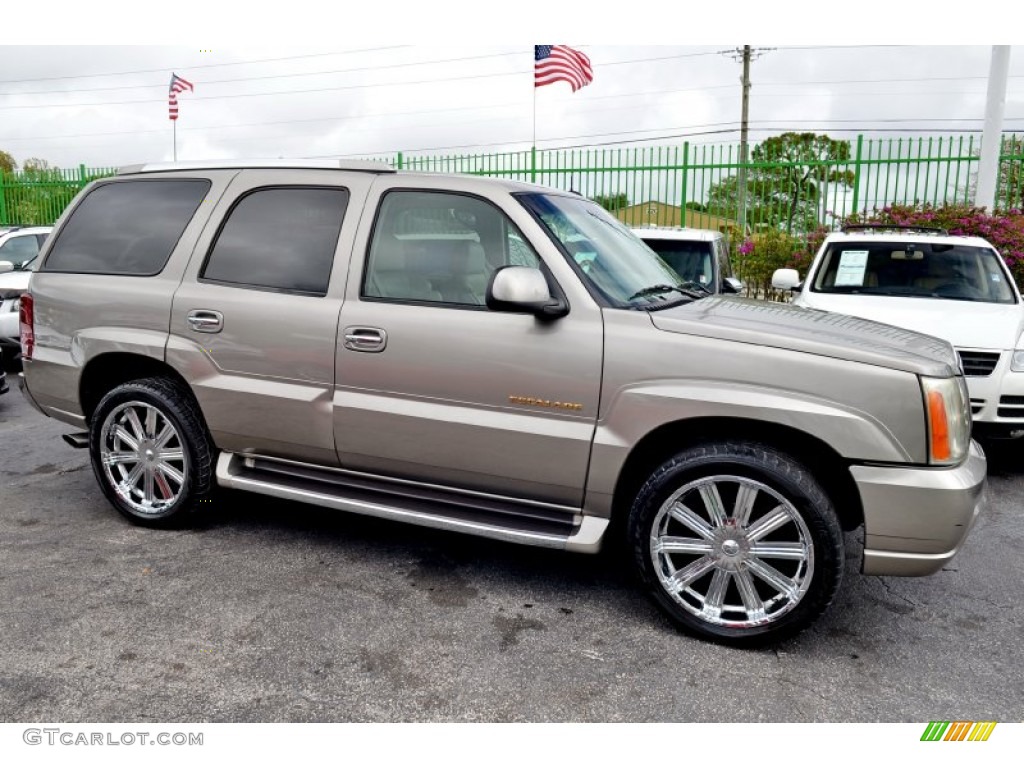 2002 Escalade AWD - Silver Sand / Shale photo #5