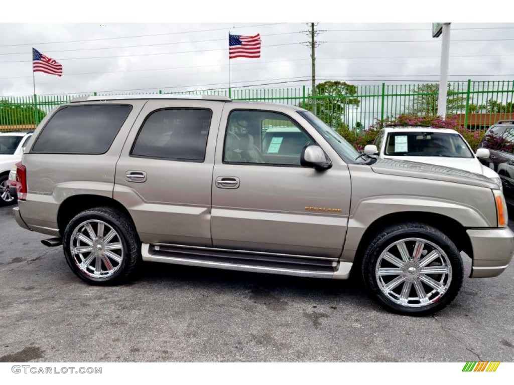 2002 Escalade AWD - Silver Sand / Shale photo #6