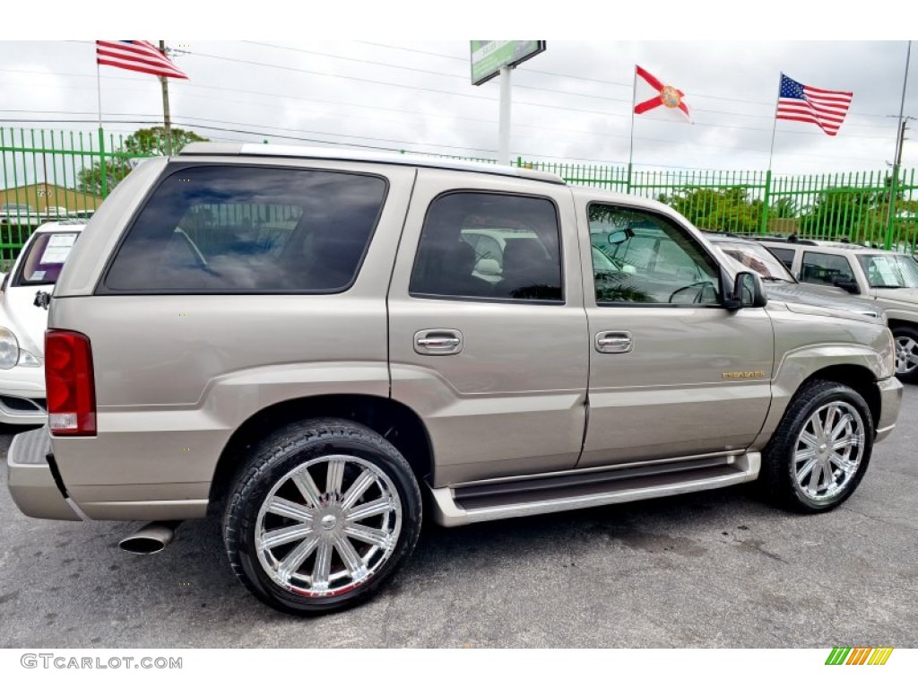 2002 Escalade AWD - Silver Sand / Shale photo #7