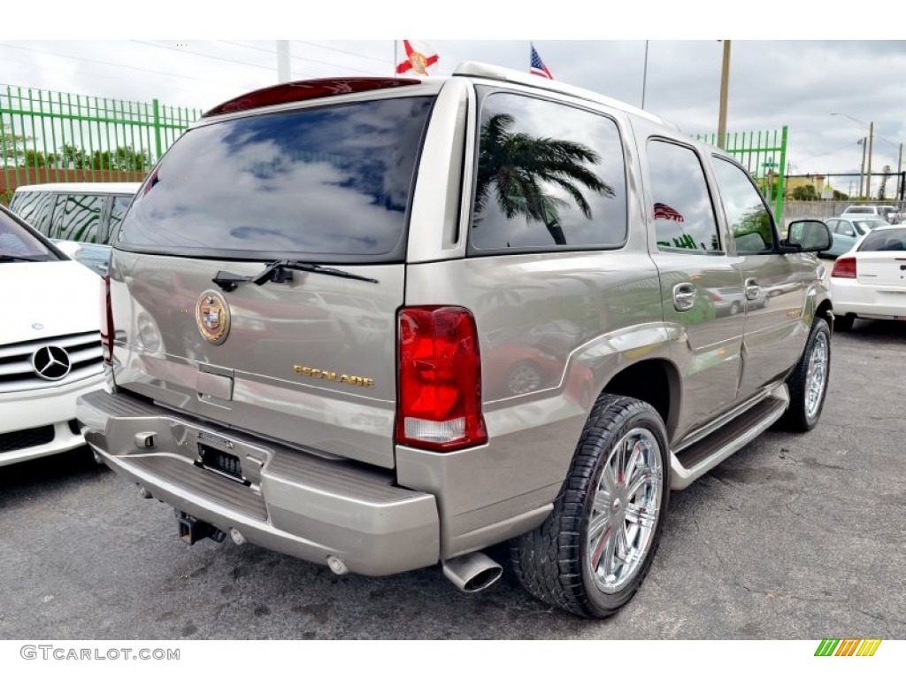 2002 Escalade AWD - Silver Sand / Shale photo #8