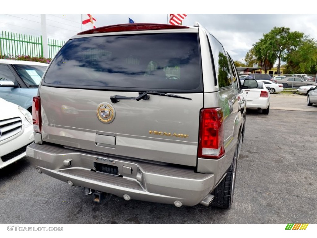 2002 Escalade AWD - Silver Sand / Shale photo #9