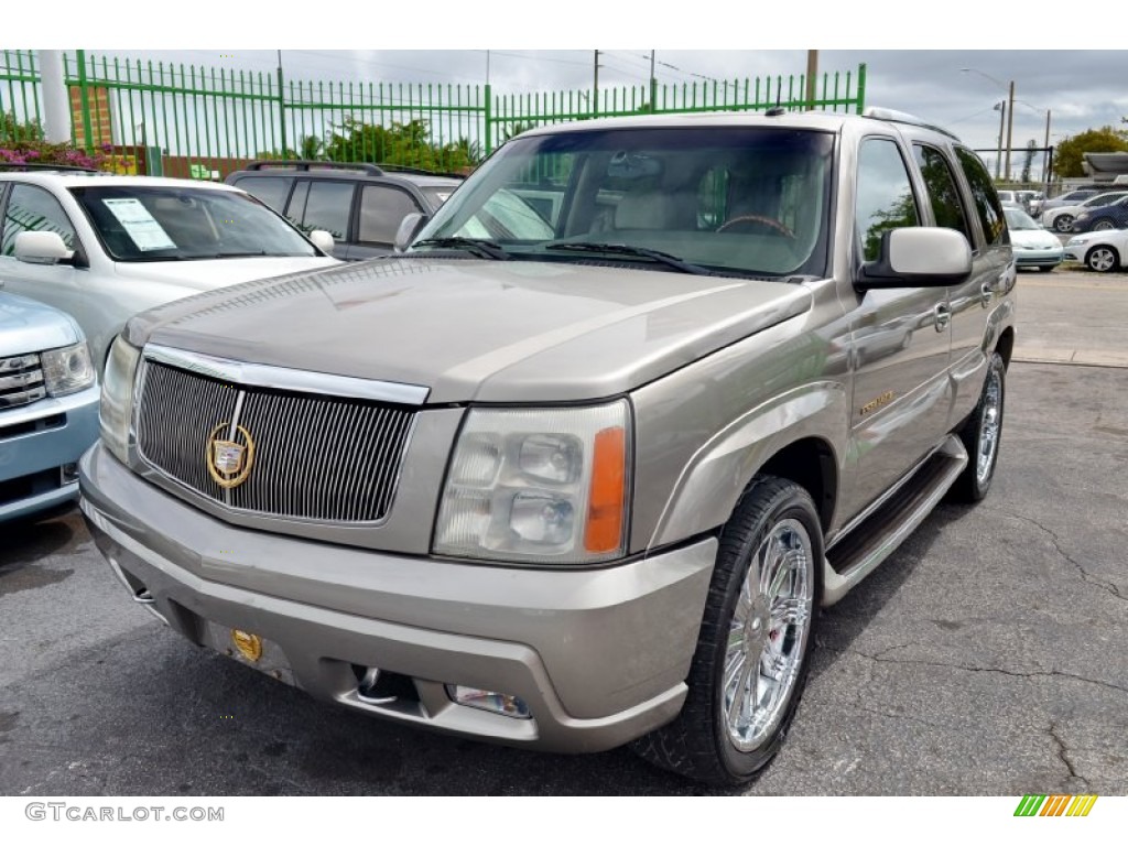 2002 Escalade AWD - Silver Sand / Shale photo #27