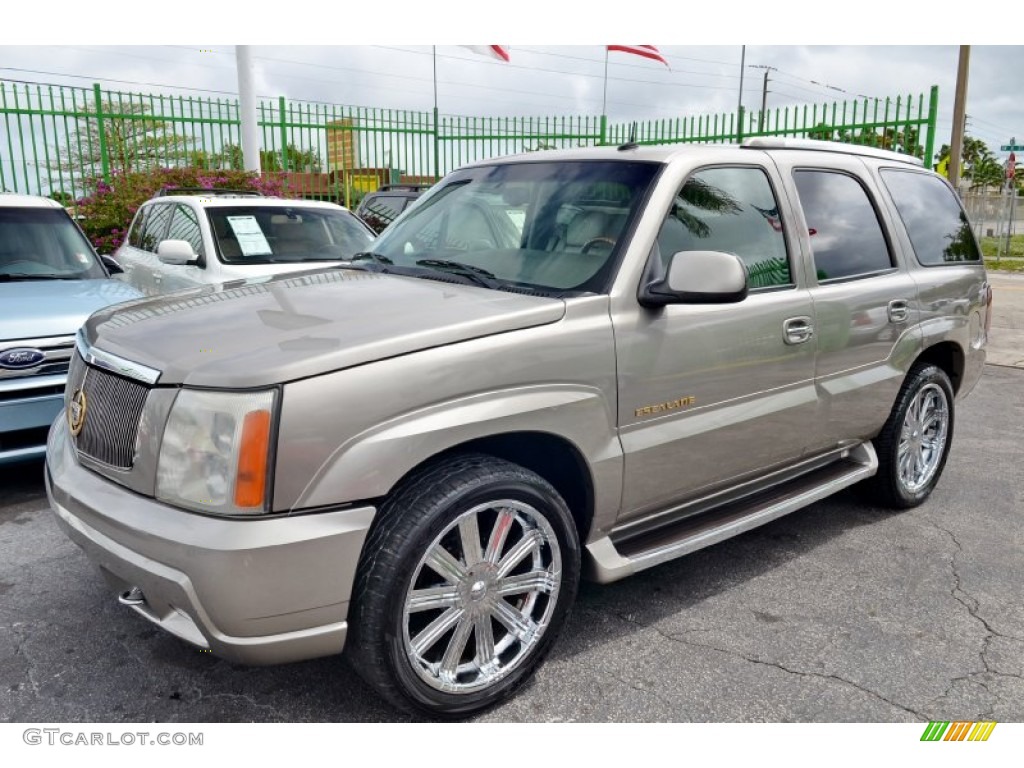 2002 Escalade AWD - Silver Sand / Shale photo #28