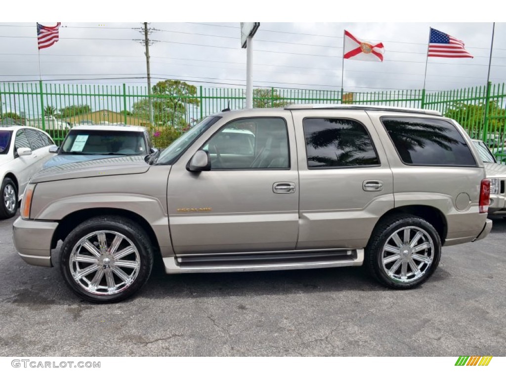 2002 Escalade AWD - Silver Sand / Shale photo #30