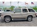 Silver Sand - Escalade AWD Photo No. 30