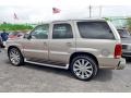 Silver Sand - Escalade AWD Photo No. 32