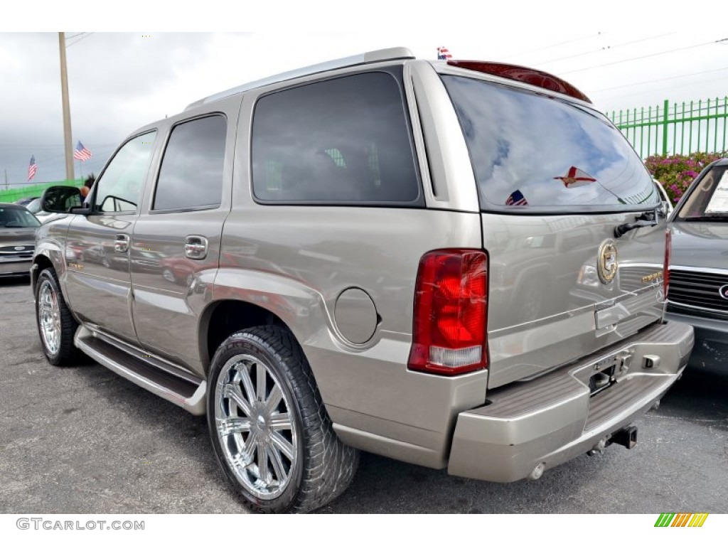 2002 Escalade AWD - Silver Sand / Shale photo #33