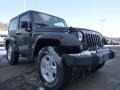 Black - Wrangler Sport 4x4 Photo No. 9