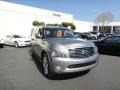 Platinum Graphite - QX 56 4WD Photo No. 3