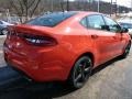 Vitamin C - Dart SXT Photo No. 5