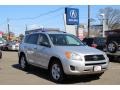 Classic Silver Metallic - RAV4 4WD Photo No. 1