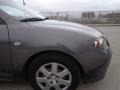 Galaxy Gray Mica - MAZDA3 i Sport Sedan Photo No. 7