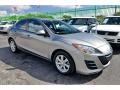 Liquid Silver Metallic 2010 Mazda MAZDA3 i Sport 4 Door Exterior