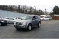 Tungsten Grey Metallic 2008 Ford Escape XLT 4WD