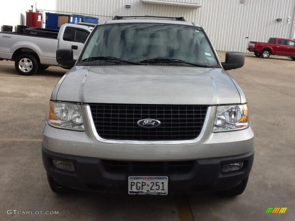 2006 Expedition XLT - Silver Birch Metallic / Medium Flint Grey photo #1