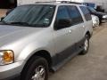 2006 Silver Birch Metallic Ford Expedition XLT  photo #2