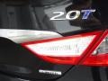 Midnight Black - Sonata Limited 2.0T Photo No. 10