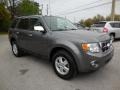 Sterling Grey Metallic 2010 Ford Escape XLT V6 Exterior