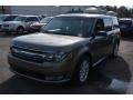 2014 Mineral Gray Ford Flex SEL  photo #7