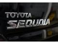 2004 Black Toyota Sequoia Limited 4x4  photo #73