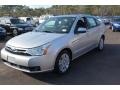 Ingot Silver Metallic - Focus SEL Sedan Photo No. 7