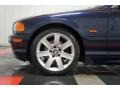 2001 Orient Blue Metallic BMW 3 Series 325i Convertible  photo #60