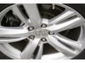 Graphite Luster Metallic - RDX  Photo No. 48