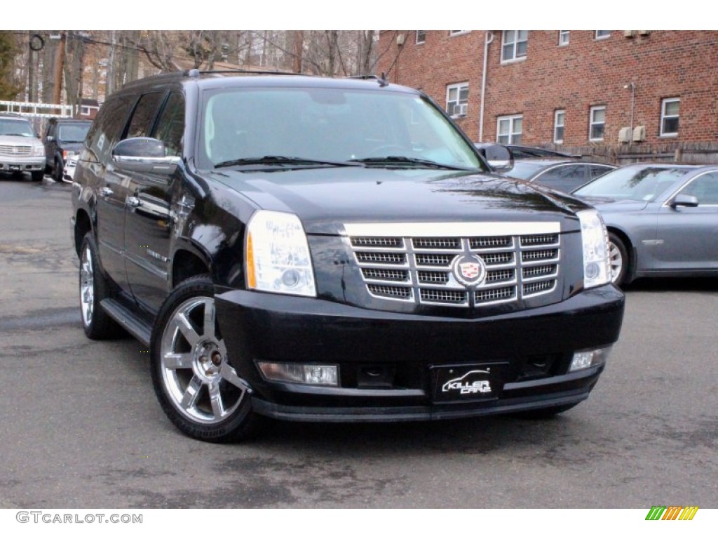 2010 Escalade ESV Luxury AWD - Black Ice / Ebony photo #1