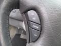 Medium Slate Gray Controls Photo for 2007 Chrysler Town & Country #102159116