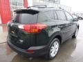 2013 Spruce Green Mica Toyota RAV4 Limited AWD  photo #3