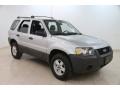 Silver Metallic 2005 Ford Escape XLS 4WD Exterior